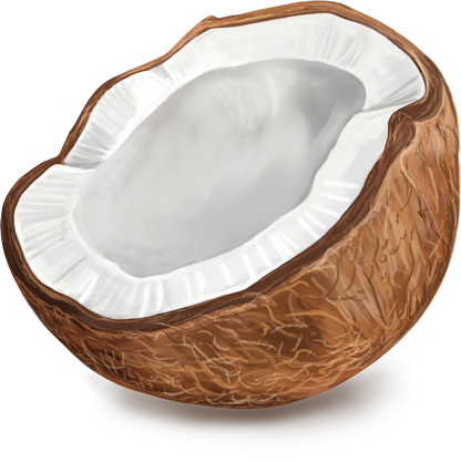 Coconut Fruit Half