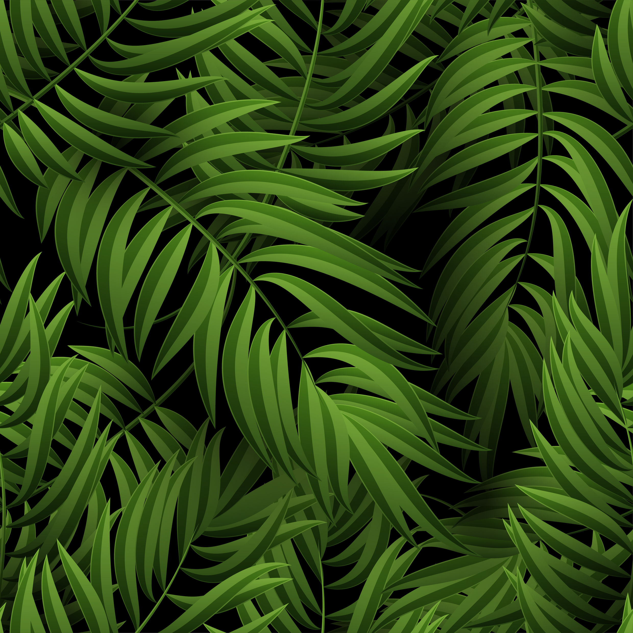 Tropical Palm Leaves Background